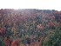 View from Big Run Scenic Overlook